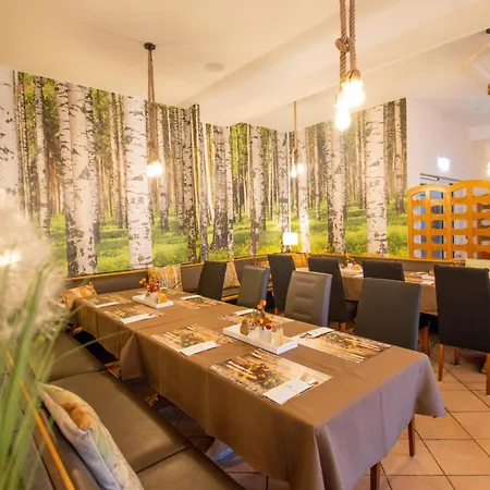 Lengenfelder Hof Hotell