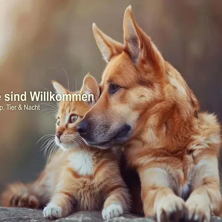 Lengenfelder Hof 3* Lengenfeld (Saxony)