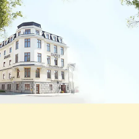 Lengenfelder Hof 3* Lengenfeld (Saxony)